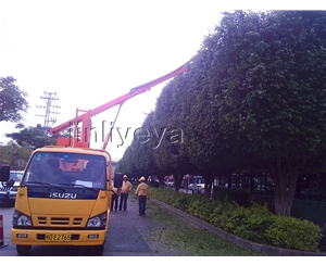 忻州修剪車(chē)規(guī)格有哪些
